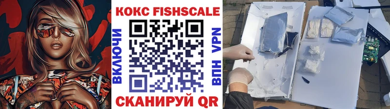 что такое   Ивангород  Cocaine Fish Scale 