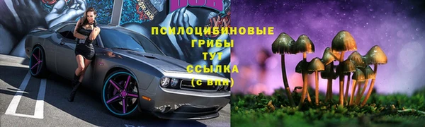 каннабис Нефтекумск