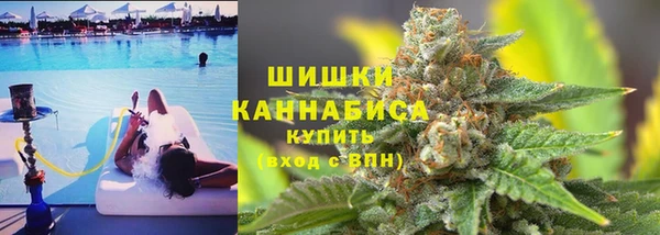 молекула духа Новокубанск