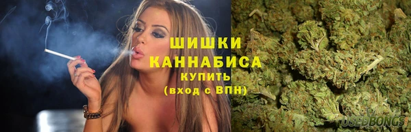2c-b Новозыбков