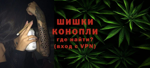 молекула духа Новокубанск