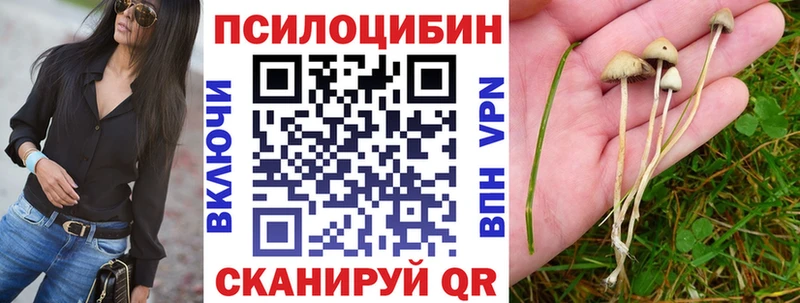 Псилоцибиновые грибы Psilocybine cubensis  Ивангород 